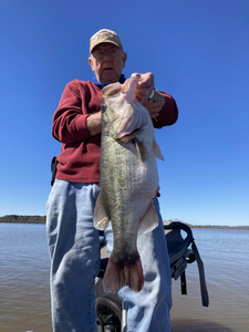 Largemouth Bass Bonza In Sam Rayburn 